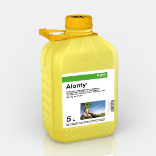 Alonty