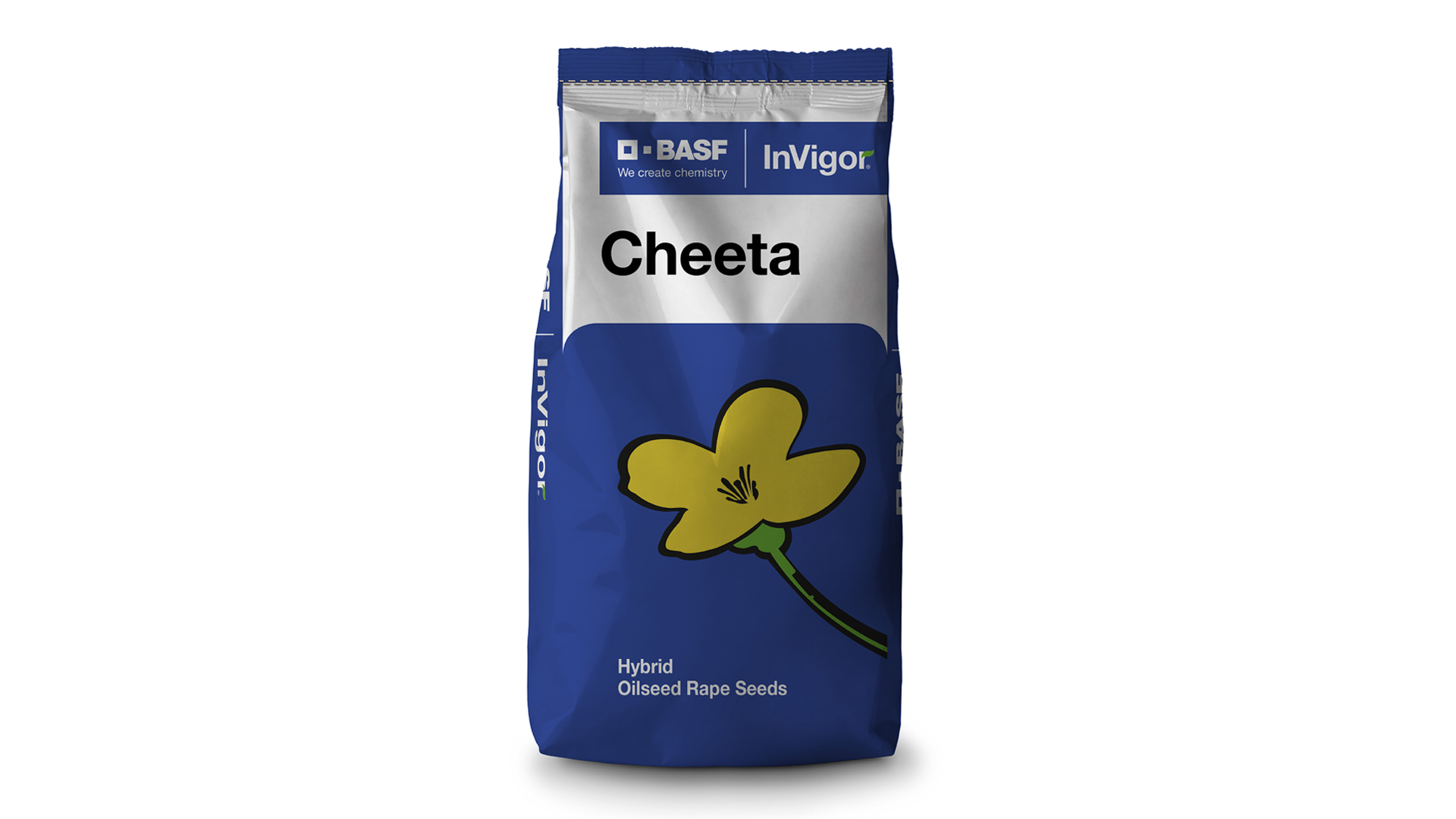 invigor-cheeta.png