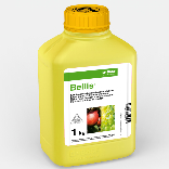 Bellis®
